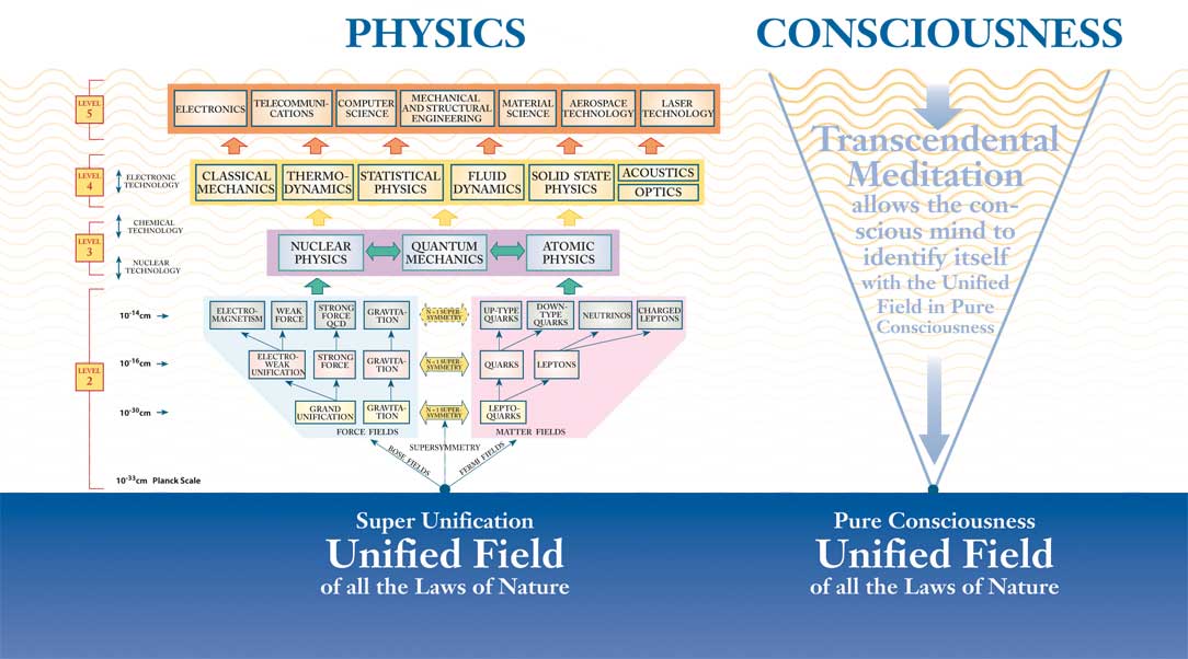 consciousness-unified-field